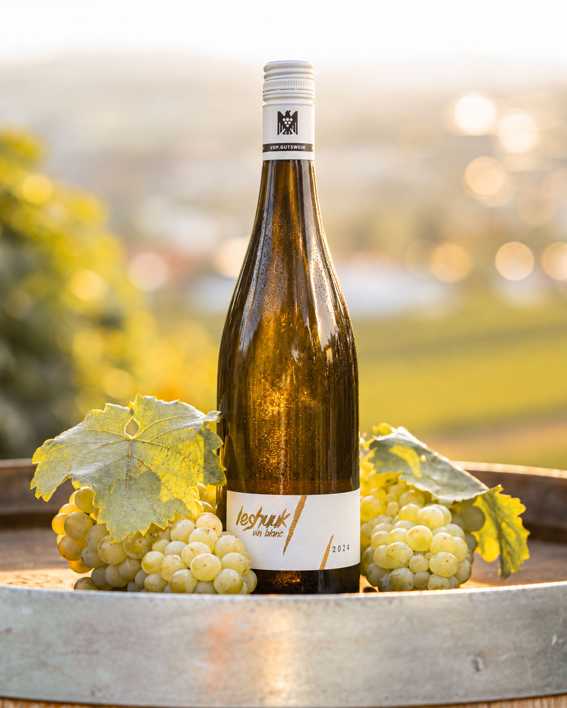 Le Shuuk - Vin Blanc