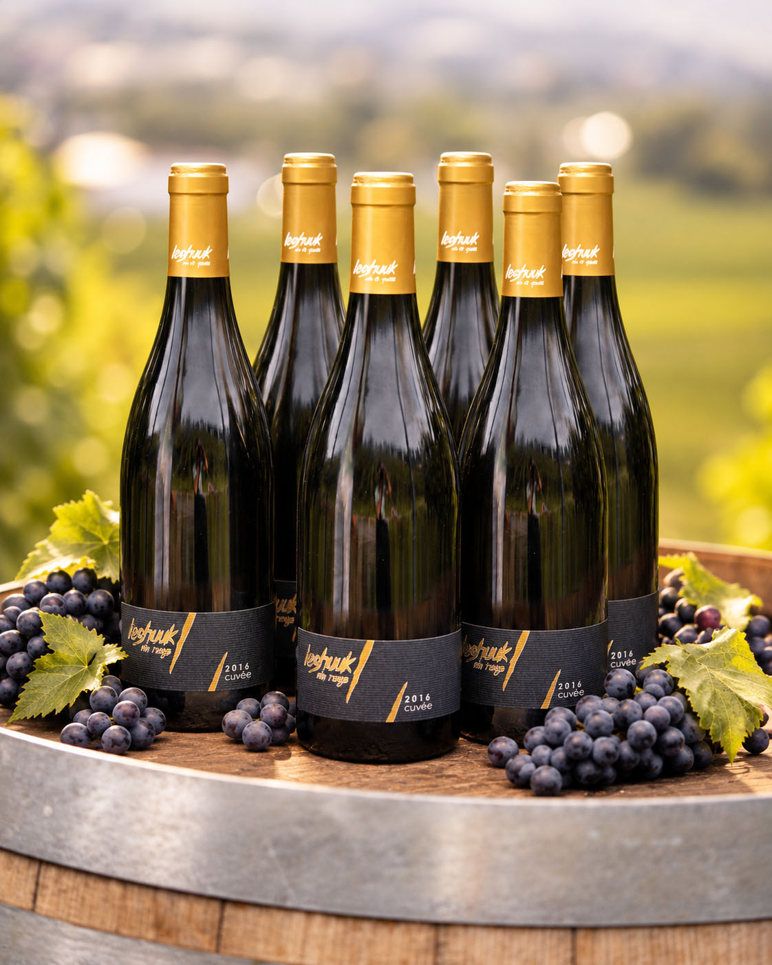 Vin Rouge - Das Sechserpack