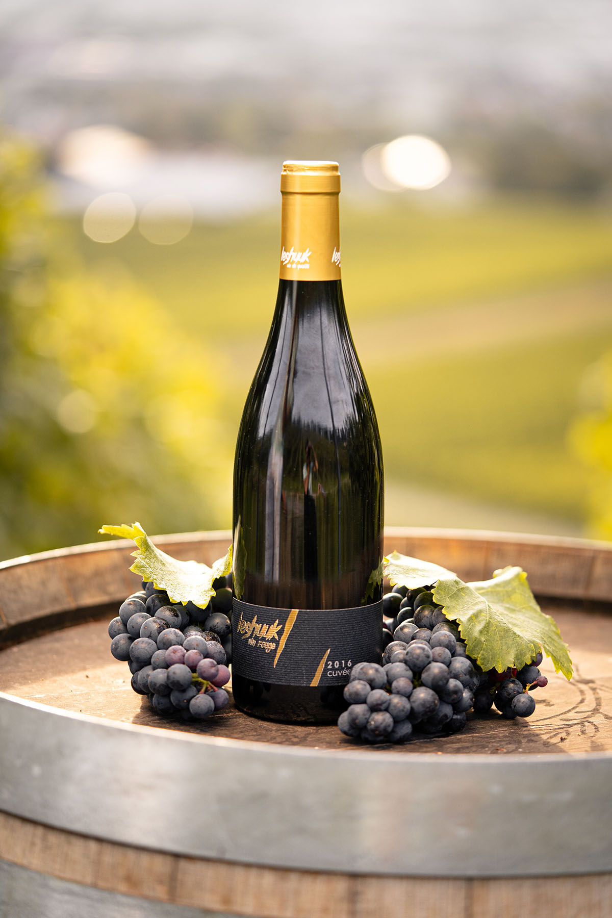 Le Shuuk - Vin Rouge